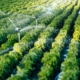 pesticides-:-attention-aux-zones-d’habitation-!