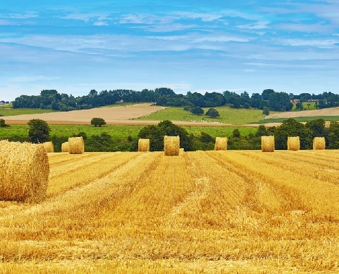 secteur-agricole-:-le-«-recu-d’entreposage-»-operationnel