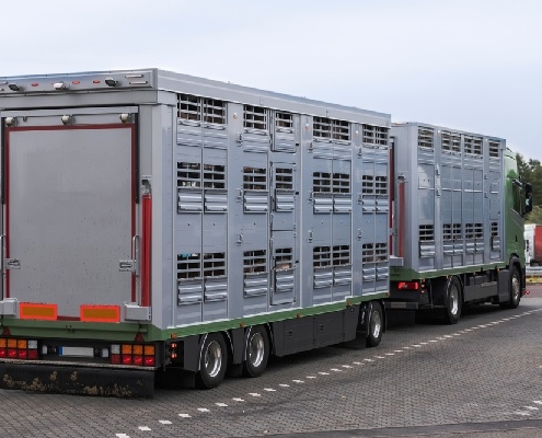 agriculteurs-:-abattoirs-mobiles-=-icpe-!