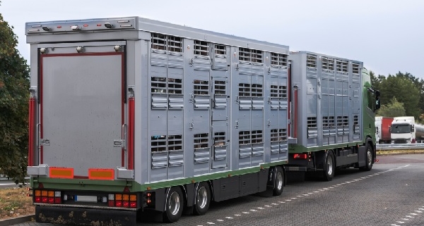 agriculteurs-:-abattoirs-mobiles-=-icpe-!