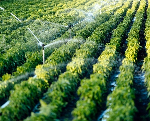 economie-circulaire-:-du-nouveau-pour-les-agriculteurs