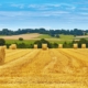 agriculteurs-:-les-subventions-europeennes,-avec-ou-sans-tva-?