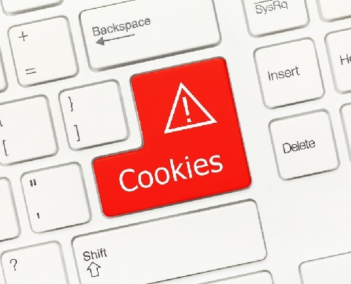 cnil-:-les-«-cookies-»-au-menu-du-rgpd…