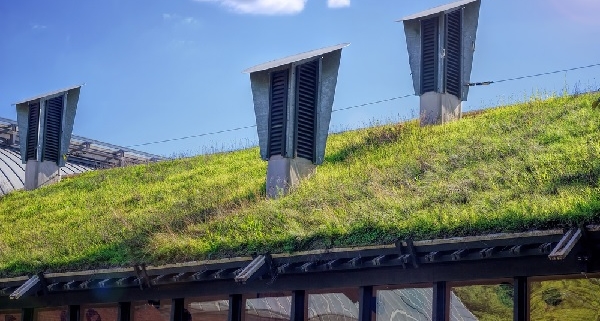 installations-classees-pour-la-protection-de-l’environnement-:-des-toitures-vertes-obligatoires-?