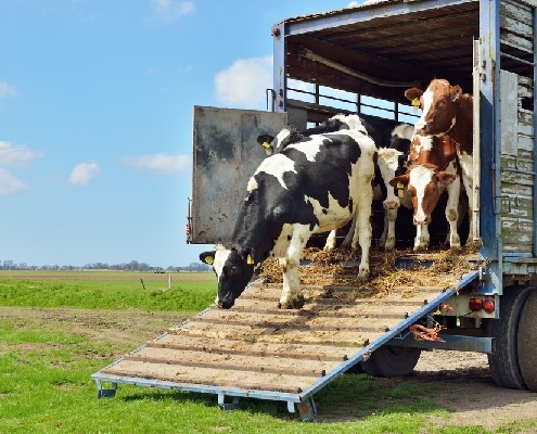 agriculteurs-:-une-dispense-de-formation-professionnelle-precisee