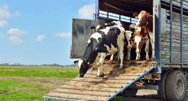 agriculteurs-:-une-dispense-de-formation-professionnelle-precisee