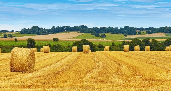 agriculteurs-et-bail-rural-:-2-cas-(mal-?)-vecus