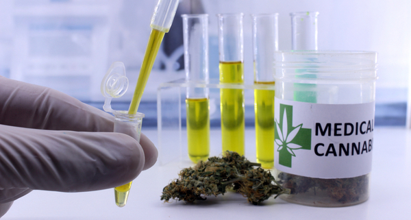 experimentation-de-l’usage-medical-du-cannabis-:-mode-d’emploi