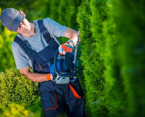 coronavirus-(covid-19)-et-reconfinement-:-le-point-pour-les-prestataires-a-domicile