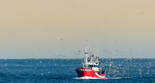 vente-de-moteurs-de-peche-:-chalutier-≠-bateau-de-plaisance