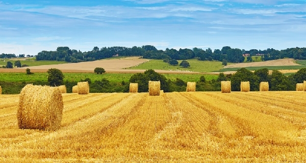 agriculteurs-:-il-ne-faut-pas-negliger-le-renouvellement-du-bail-rural-!