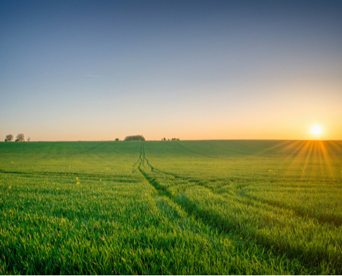 bail-rural-:-et-si-l’un-des-locataires-cesse-d’exploiter-les-terres-?