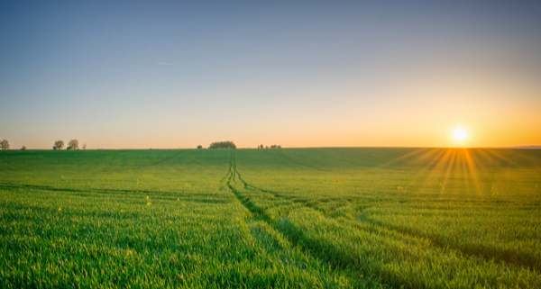 bail-rural-:-et-si-l’un-des-locataires-cesse-d’exploiter-les-terres-?