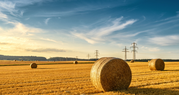 bail-rural-:-defaut-de-paiement-et-resiliation-du-bail