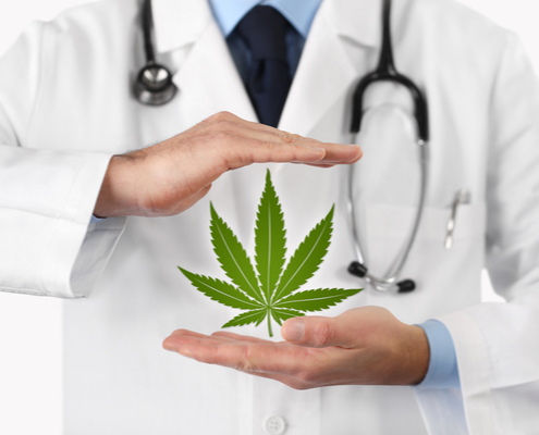 cannabis-therapeutique-:-lancement-de-l’experimentation-!