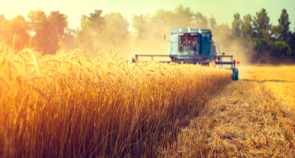 aides-aux-agriculteurs-:-la-teledeclaration-est-ouverte-!