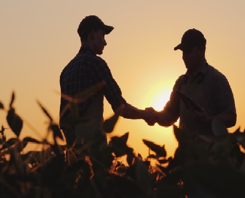 vente-de-terres-agricoles-=-droit-de-preemption-de-la-safer-?