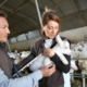 veterinaires-et-soins-aux-animaux-d’elevage-:-une-aide-financiere-pour-vous-soutenir