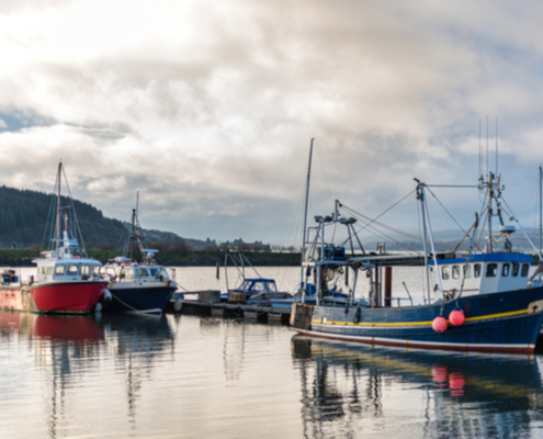 cotisations-sociales,-dsn-et-marins-:-fin-d’une-tolerance-?