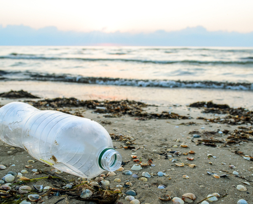 protection-des-oceans-:-creation-du-label-«-ocean-approved-»-!