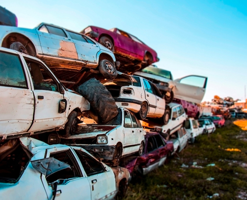 gardiens-de-fourriere-:-une-exception-pour-certaines-collectivites-d’outre-mer