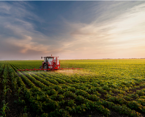 agriculture-:-quelles-alternatives-aux-phytosanitaires-?