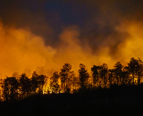 feux-de-foret-:-les-conseils-pour-les-eviter