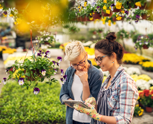 vente-de-plantes-et-vegetaux-:-une-nouvelle-obligation-d’information-!