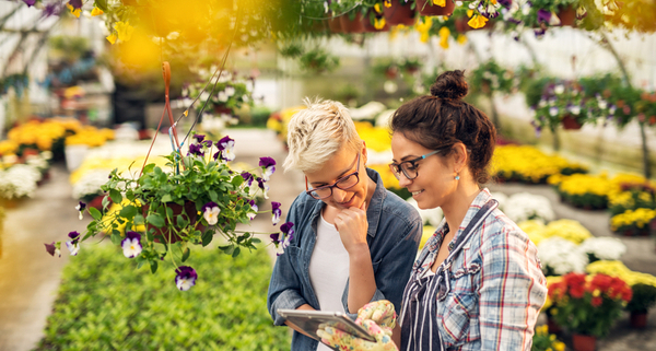 vente-de-plantes-et-vegetaux-:-une-nouvelle-obligation-d’information-!