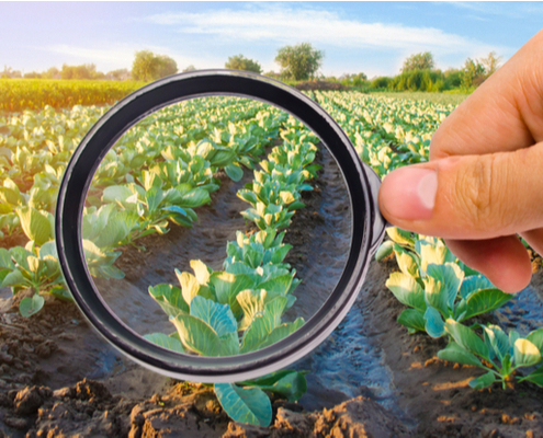 pratiques-commerciales-deloyales-:-du-nouveau-pour-le-secteur-agro-alimentaire