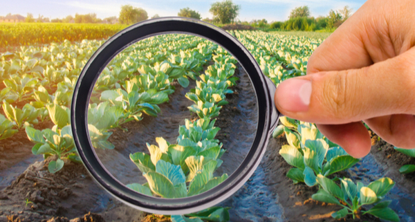 pratiques-commerciales-deloyales-:-du-nouveau-pour-le-secteur-agro-alimentaire