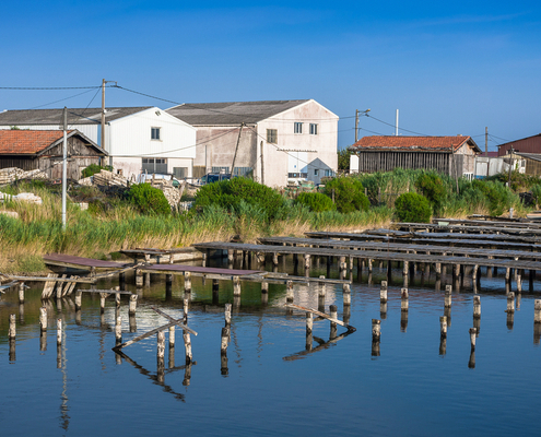 autorisations-d’exploitation-de-cultures-marines-:-il-faut-payer-ses-cotisations-!