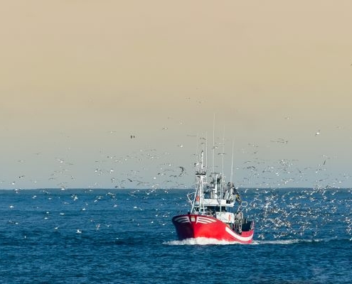 brexit-et-arret-temporaire-des-activites-de-peche-:-acte-2