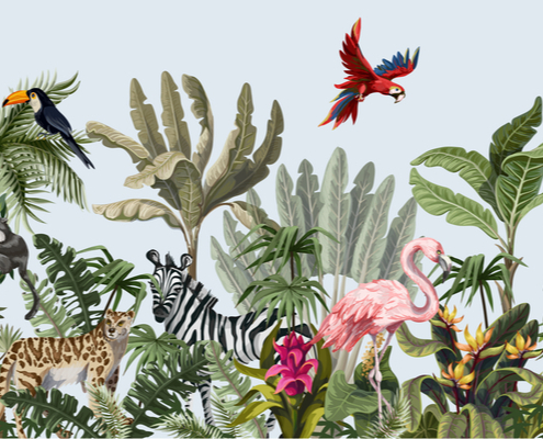 coronavirus-(covid-19)-:-une-nouvelle-aide-pour-les-centres-de-soins-de-la-faune-sauvage