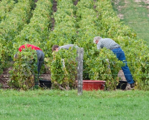 coronavirus-(covid-19)-:-vers-un-elargissement-de-l’activite-partielle-de-longue-duree-?