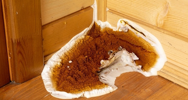 diagnostiqueur-:-quand-un-diagnostic-merule-est-errone…