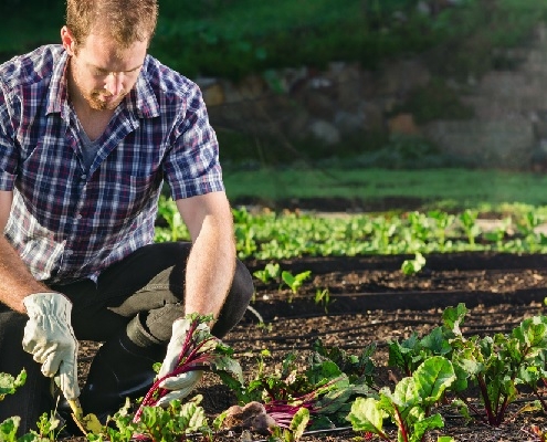 agriculture-biologique-:-un-registre-a-tenir