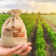 loi-egalim-2-:-mieux-proteger-la-remuneration-de-l’agriculteur