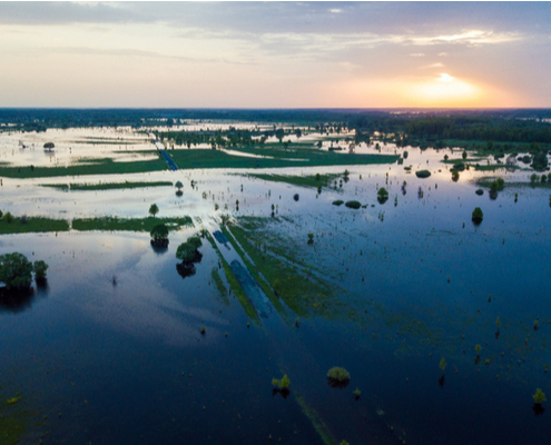 agriculture-et-inondations-:-une-(nouvelle)-aide-financiere-est-debloquee-!