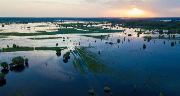 agriculture-et-inondations-:-une-(nouvelle)-aide-financiere-est-debloquee-!