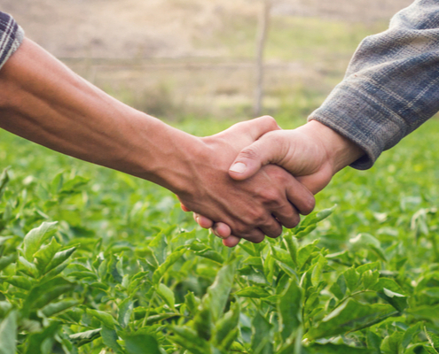 mal-etre-des-agriculteurs-:-un-nouveau-plan-de-soutien