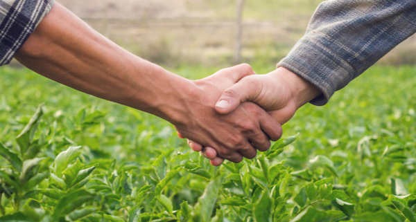 mal-etre-des-agriculteurs-:-un-nouveau-plan-de-soutien