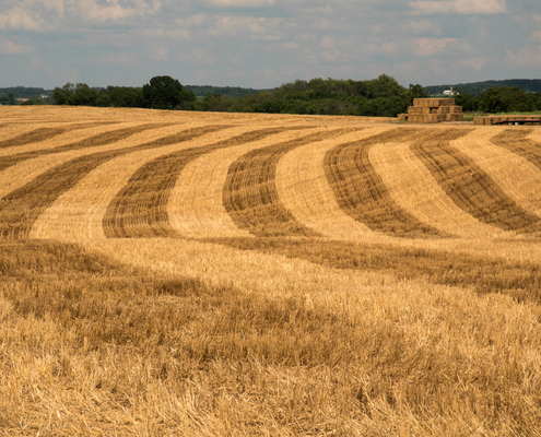 agriculteurs-:-attention-a-la-redaction-du-conge-pour-reprise-!