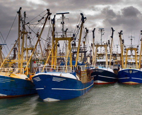 secteur-de-la-peche-:-beneficier-d’une-aide-financiere-avant-qu’il-ne-soit-trop-tard-!