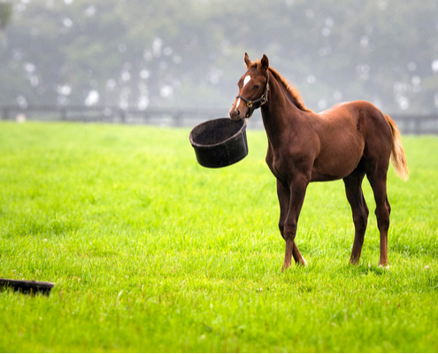 quand-un-particulier-se-professionnalise…-au-detriment-du-voisinage…