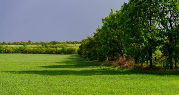 droit-de-preemption-de-la-safer-:-un-delai-raccourci-?