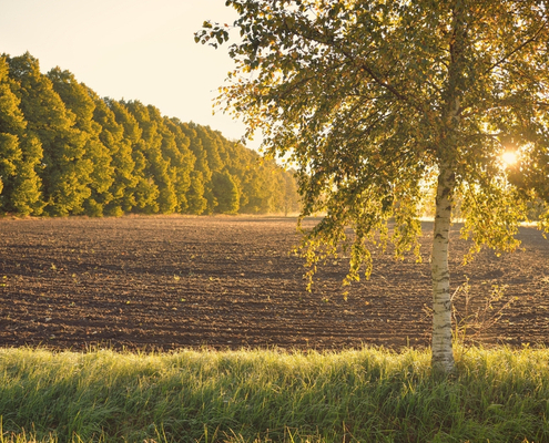 secteur-agricole-:-une-loi-pour-mieux-reguler-l’acces-au-foncier