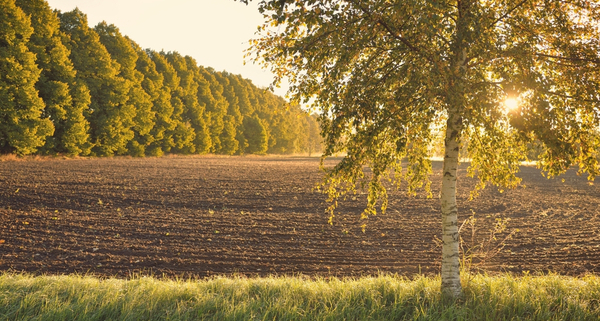 secteur-agricole-:-une-loi-pour-mieux-reguler-l’acces-au-foncier