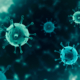 coronavirus-(covid-19)-et-cotisations-sociales-:-encore-une-nouvelle-prolongation