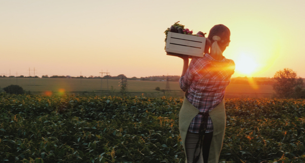 intemperies-:-quel(s)-soutien(s)-pour-le-secteur-agricole-?